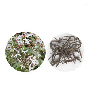 Extrato de raiz <span class=keywords><strong>Ipecac</strong></span> em pó <span class=keywords><strong>Ipecac</strong></span> de alta qualidade por atacado - Product Image 2