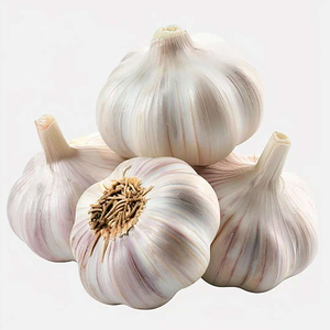 <span class=keywords><strong>Ajo</strong></span> Crudo de Piel Morada Característico de Henan, Cultivado con Cuidado, Picante y Especiado, Gran Éxito de Ventas en Todo el Mundo - Product Image 4