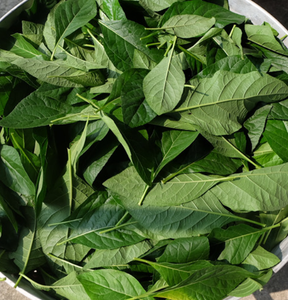 1000g di foglie di tè secche africane - Product Image 4