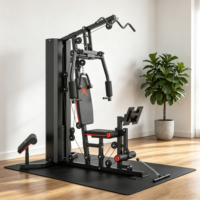 Máquina de Gimnasio Integrada para el Hogar MaiBu Fit MB-8000, Ejercicio de Cuerpo Completo, Piernas, Espalda, Hombros, Tríceps, Brazos, Portátil, para Uso Doméstico, Culturismo