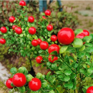 Solar Red Berry Garden <b>Lights</b> LED Waterproof Outdoor Decorative <b>Plant</b> Stake <b>Light</b> - Product Image 2