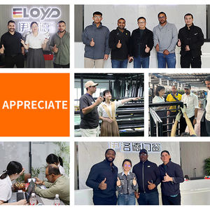 Eloyd มุ้งอลูมิเนียมบานเลื่อนพับได้สำหรับวิลล่า, มุ้งกันยุงสำหรับใช้ในบ้าน - Product Image 6