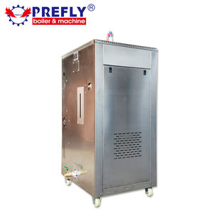 Générateur de vapeur/chaudière électrique commercial 36 kW en acier inoxydable, équipement portable de séchage de coprah, installation Plug & Play - Product Image 3