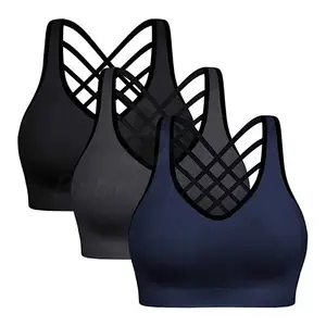 2023 New Design Ladies Fitness & Yoga Wear Bra / Seamless Stretchy Removable Pads Fitness Bra