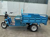 Mini-Rickshaw Électrique Nouveau Style Certifié CE, Moto à 3 Roues avec Carrosserie Ouverte, Tension 60V, pour Passagers Adultes et Marchandises