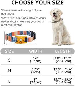 <span class=keywords><strong>Collier</strong></span> <span class=keywords><strong>anti</strong></span>-évasion exotique Mexique Sublimation vichy irisé pour <span class=keywords><strong>chien</strong></span> avec fermoir Airtag Faisceau intelligent minimaliste pour Bomei - Product Image 4