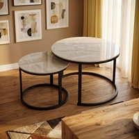 Table basse moderne minimaliste de luxe de haute qualité, ronde, 2 pièces, plateau en pierre frittée, meubles de salon, maison, hôtel