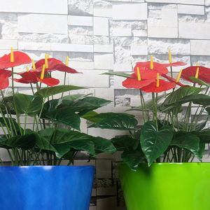 H329 fibre de verre petit pot de fleurs maison chambre salon jardin entrée pots de plantation pour espace public - Product Image 5