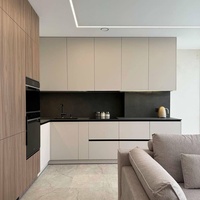 Meubles modulaires stratifiés personnalisés : Armoire de cuisine, panier, accessoires pour four, réfrigérateur, lave-vaisselle en contreplaqué et panneaux de particules