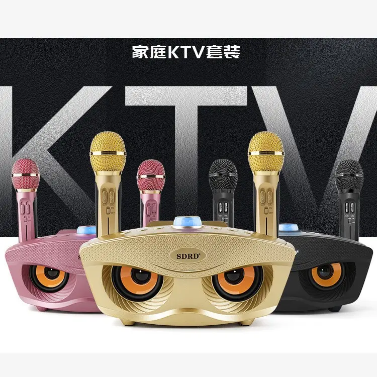 Nhà Sản xuất nhà cung cấp KTV loa không dây mic kép Microphone