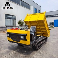Mini-Baggerlader mit Dieselmotor Leistungsstarkes Hydrauliksystem 1 Jahr Garantie zum Verkauf