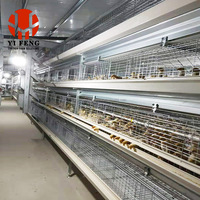 Cage à poulets de chair de type H, cage à batterie automatique pour poulets de chair, 3 niveaux, abreuvoir à tétine, système d'évacuation du fumier au sol, en acier galvanisé