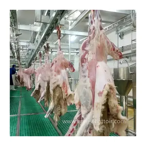 Completed Production Line Vertical Carcass Processing Convey Machine For Halal Slaughterhouse