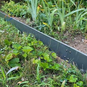 Ornamental <strong>Metal</strong> Lawn Edging for <strong>Garden</strong> Decoration <strong>Garden</strong> Ornaments Product - Product Image 6