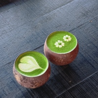Poudre de matcha directement de l'usine du Yunnan : régule les lipides sanguins, aide à contrôler les niveaux de glycémie