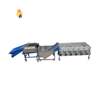 Machine de tri des fruits, convoyeur, machine de tri des fruits et des agrumes, machine de tri des fraises