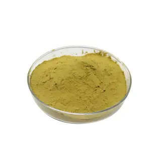 High Quality Refined Alpha Amylase Enzyme