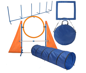 Kingtale Fournisseur d'animaux de compagnie personnalisé Accessoires pour chiens Équipement d'entraînement à l'agilité Produits d'entraînement professionnels pour animaux de compagnie - Product Image 1