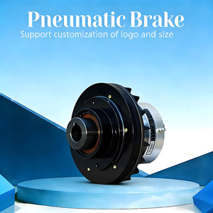 ดิสก์เบรกลมนิวเมติกอุตสาหกรรม50NM 588NM กระตุ้นสภาพใหม่ที่มี<span class=keywords><strong>ส่วนประกอบ</strong></span>แบริ่งหลัก - Product Image 4
