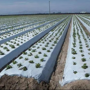 <strong>Mulch</strong> <strong>Films</strong> <strong>Manufacturer</strong> Good Quality Polyethylene Mulching <strong>Film</strong> Agriculture Plastic <strong>Mulch</strong> <strong>Film</strong> Rolls