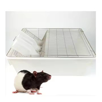 Grande boîte d'alimentation moderne en plastique PP pour rats, bacs pour souris, cages de laboratoire pour souris, cages d'élevage pour rongeurs