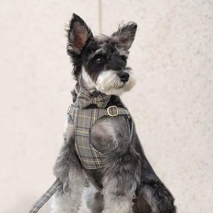 Ensemble Harnais, Collier et Laisse pour Petits Chiens avec Nœud Papillon, Harnais Doux et Réglable à Carreaux pour Chiots et Chats de Petite Taille pour les Promenades - Product Image 1