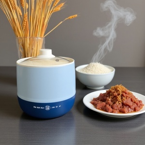 Mini Pentola Elettrica Multifunzione 1.8L 300W per 1-3 Persone, Ideale per Dormitori Universitari e Appartamenti, con Pentola Interna Antiaderente e Controllo Touch - Product Image 3