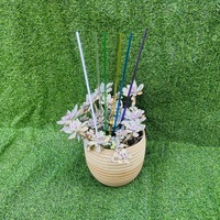 Support de treillis de support de plante en acrylique transparent horticole moderne pour Phalaenopsis et tige d'escalade de plantes en pot
