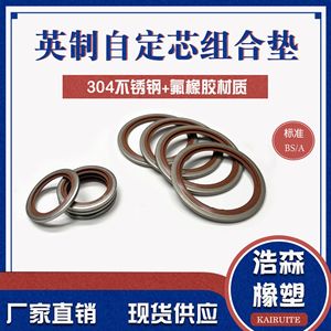 แหวนปะเก็นคอมโพสิตฟลูออโรรับเบอร์สแตนเลส Kairuite 304 สำหรับซีลเชิงกล ทนทานต่ออุณหภูมิสูง - Product Image 2