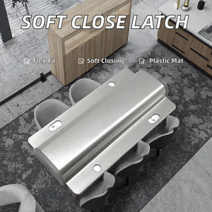 नरम क्लोज प्लास्टिक आधुनिक फर्नीचर हार्डवेयर सहायक उपकरण समायोज्य पुश करें रसोई अलमारियाँ के लिए - Product Image 5