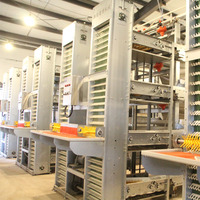 Système de cages en batterie de type H pour poules pondeuses, capacité 10 000 poulets, pour ferme avicole de 100 000 oiseaux