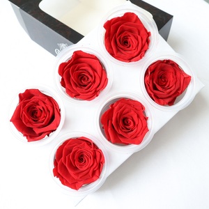 <span class=keywords><strong>Rosa</strong></span> preservada de calidad personalizada, <span class=keywords><strong>regalo</strong></span> del Día de San Valentín, Color de la cabeza, <span class=keywords><strong>Rosa</strong></span> eterna, <span class=keywords><strong>Rosa</strong></span> preservada en caja - Product Image 1