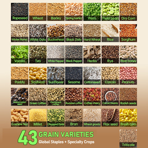เครื่องวัดความชื้นในเมล็ดพืช 43 ชนิด 14 ภาษา ถั่วลันเตา ข้าวโพด <span class=keywords><strong>เชอ</strong></span>ร์<span class=keywords><strong>รี่</strong></span> กาแฟ กาแฟดิบ เม็ดมะม่วงหิมพานต์ 14 ภาษา - Product Image 2