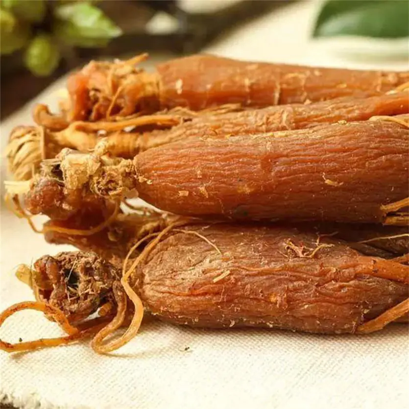 Extrato de ginseng vermelho antioxidante de alta qualidade, bebida coreana de extrato de genseng