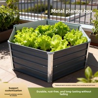 Jardinière rectangulaire en fer galvanisé pour la culture de légumes, idéale pour les jardins, les balcons, les toits et l'extérieur