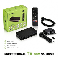 BOXPUT Lemon TV L2 TV Box Android 14 H618 4K 2.4G 5G WIFI6 BT 5.4 GTV OS 1 unidad MOQ Logotipo de arranque personalizado Animación TV CMS App Push ODM