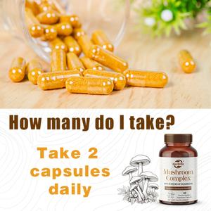 Complejo de Hongos OEM ODM, Suplemento de Hongos 5 en 1 (Melena de León, Reishi, Chaga, Maitake, Shiitake) para la Concentración y el Apoyo Inmunológico - Product Image 4