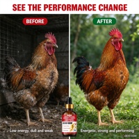 100 ml Vitamine B12 Puissante 5 000 UI, Liquide Oral pour Poulets et Coqs, Stimulant de Vitalité Immunitaire, d'Énergie et d'Endurance, Améliorant les Performances