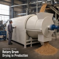 Sécheuse à tambour rotatif automatique à chauffage à l'huile avec composants de base à engrenages, capacité de 90 kg pour le séchage des noix, des céréales, des haricots, du riz, du maïs