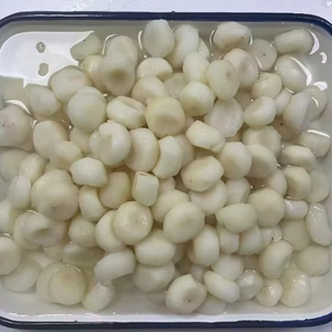 Nouvelle récolte <span class=keywords><strong>de</strong></span> la saison, châtaignes d'<span class=keywords><strong>eau</strong></span> pelées en conserve, légumes et aliments en saumure, conservation fraîche et savoureuse des châtaignes d'<span class=keywords><strong>eau</strong></span> - Product Image 1