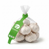 Étiquette de sac en filet en PP imperméable et résistante aux déchirures avec logo personnalisé, appliquée à la machine, pour agrumes (citron, lime, orange)