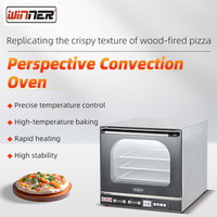Four à convection professionnel à vision complète avec chauffage rapide de 2,6 kW, brunissage supérieur pour restaurants et hôtels EB-1AE