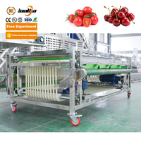 Lonkia Fruitgroente Sorteermachine Kers, Cherrytomaatjes Sorteermachine Dadelsorteermachine