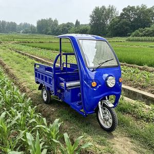 Triciclo Elettrico Personalizzato 60V Best Seller con Display LCD, Triciclo <span class=keywords><strong>a</strong></span> 3 Ruote Motorizzato 60V con Video - Product Image 6