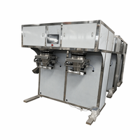 Máquina de Envasado y Llenado de Bolsas de Plástico Semiautomática de Doble Cabezal SS304 para Fertilizantes, Polvo Químico y Gránulos