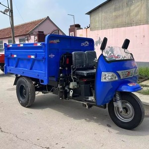 Tricycle de fret diesel pour l'Algérie, tricycle de fret à moteur, moto-tricycle de fret - Product Image 1