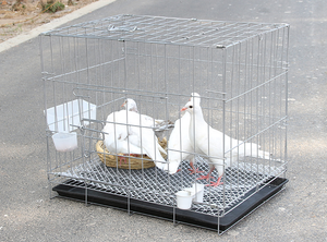 กรงนกพิราบคู่ผสมพันธุ์บ้านกรงนกพิราบพับได้ขนส่งเข้ารหัสกรงนกพิราบ - Product Image 5