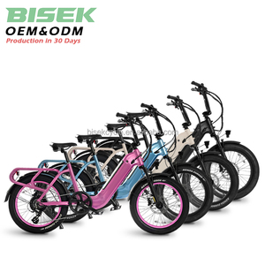 Étape à travers Ebike commande en gros personnalisée livraison directe disponible 52v grand moteur de moyeu arrière 15ah 20 "gros pneu vélo électrique - Product Image 1