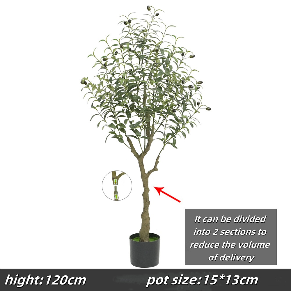 120cm olive tree, type b