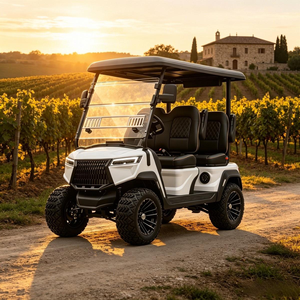 Carrito de Golf Eléctrico para Turismo, con Suspensión de Doble Horquilla, para Uso en Carreteras No Públicas, con Certificación DOT, CE y EEC - Product Image 1